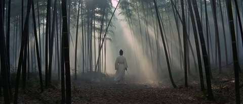 Wuxia Bamboo Forest Martial Arts