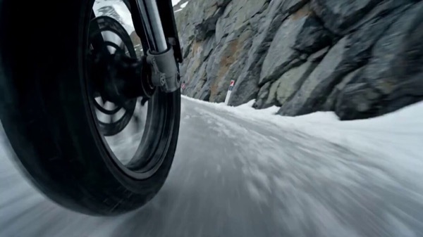 Avalanche Survival