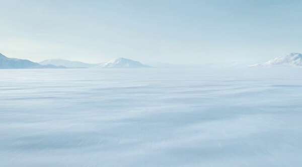 Frozen Lake Polar Bear Emergence