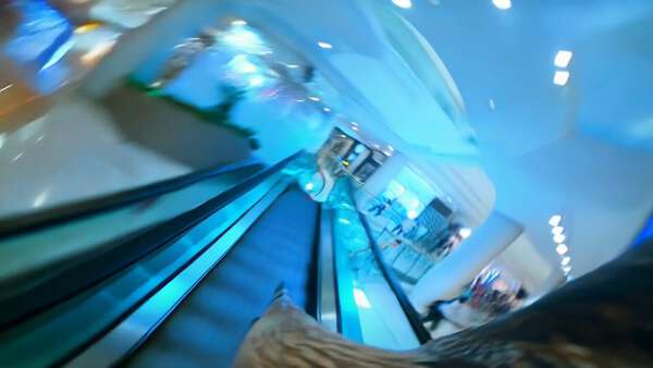 Eagle POV Mall