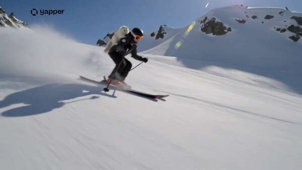 Skier Cat Winter Adventure