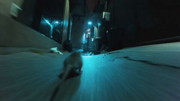 Urban Rat Alley Night Run
