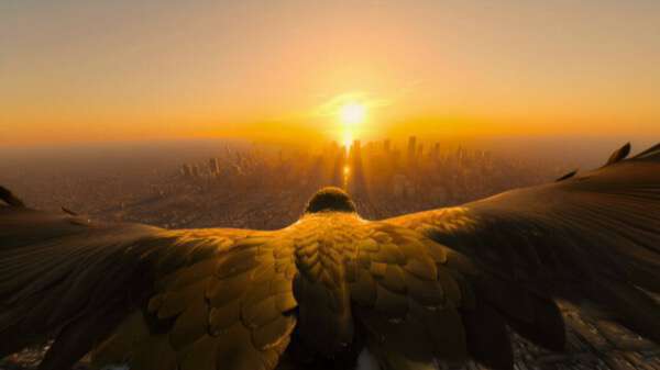 Falcon City Sunset Dive