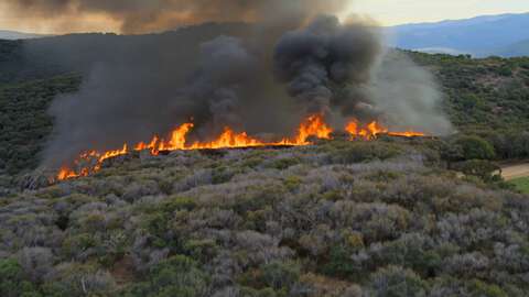 Wildfire Elk Escape