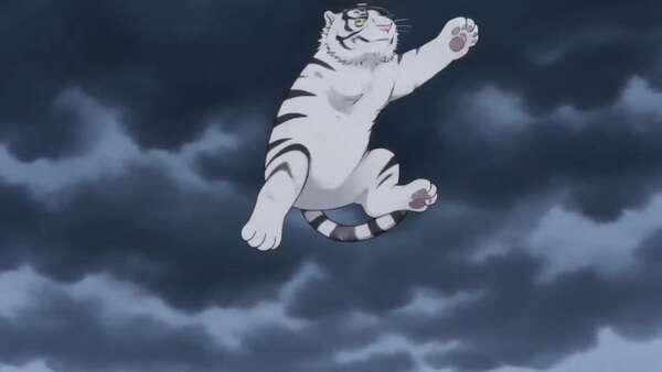Tiger Drop Anime MV
