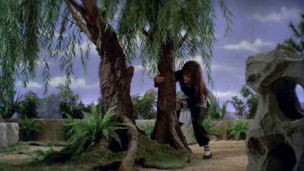 Pupu Uprooting Willow Tree
