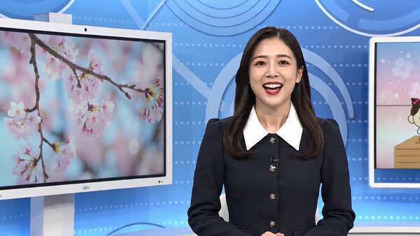 Japanese Cherry Blossom News Program