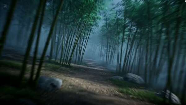 Shadow Monster vs Swordsman in Bamboo Forest