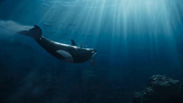 Orca Warrior vs Megalodon