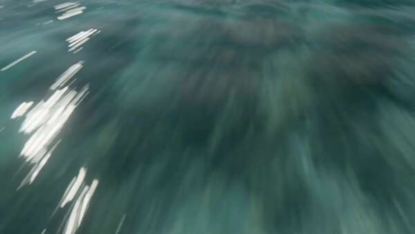 Sea Turtle Surfing in Maldives