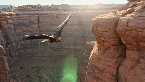 Golden Eagle Soaring Through Red Rock Canyon