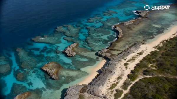 Seedance 2.0 Seaplane Island Adventure — 14-Second Aerial Film