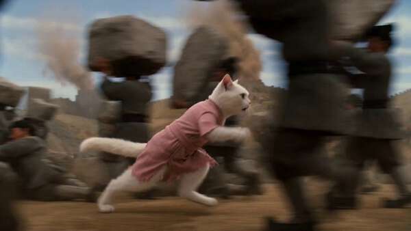 Cat Emperor Bear Dad Great Wall Chaos