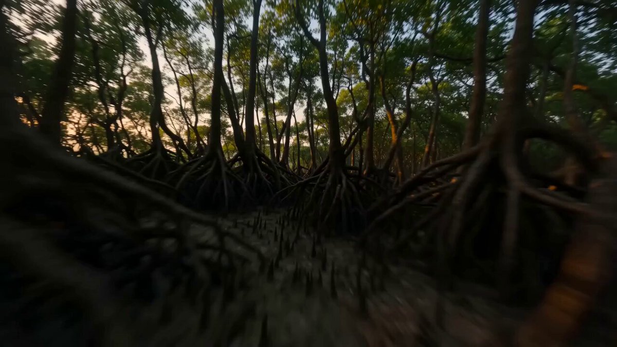 FPV Ancient Vanga Kingdom