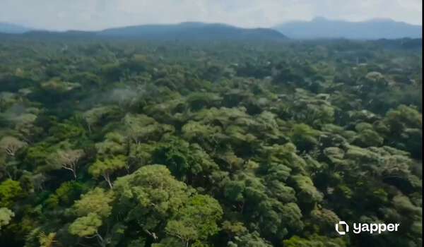 Insectoid Drone Amazon Jungle Chase
