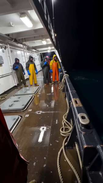 Shark Attacks Fishing Boat