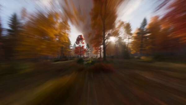 Autumn Leaves Tornado