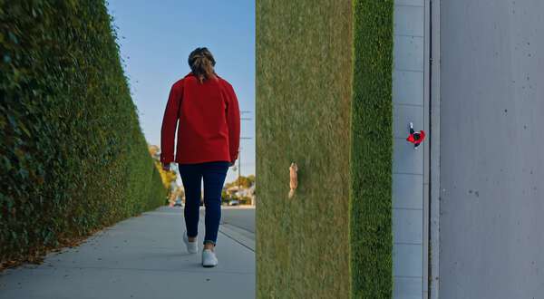 Split Screen Hedge Dog Surprise