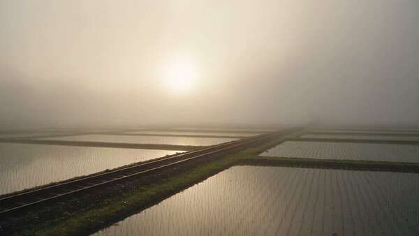 Bullet Train Dawn