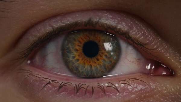 Wait Until You Realize Where This Zoom