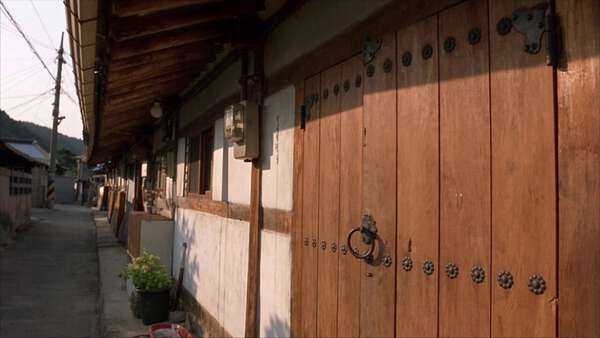 Quiet Village Afternoon — Korean Woman MiniDV Vlog