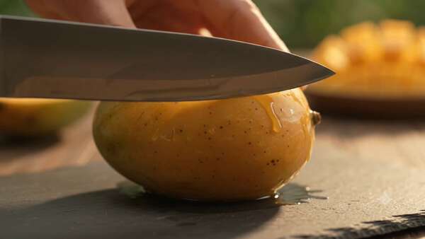 Artisanal Alphonso Mango Commercial