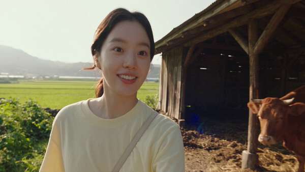 Countryside Farm Morning Vlog