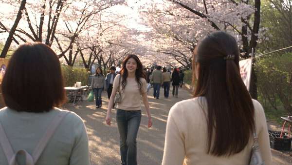 A Spring Festival on DV: Meeting Friends, Blossoms, Street Food