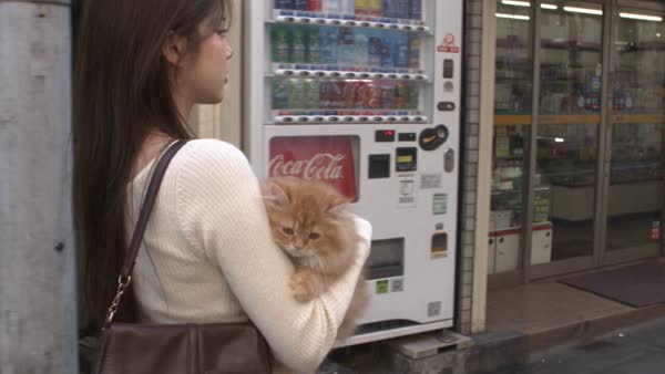 Tokyo Walk Turns Into Cat Rescue
