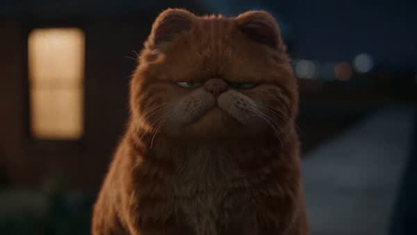 Two Cats Debate on a Rooftop