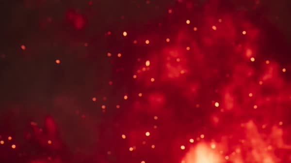 Tiger Warden Crimson Katana Rampage