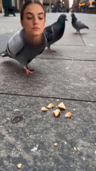 She Became the Pigeon She Would Have Hated
