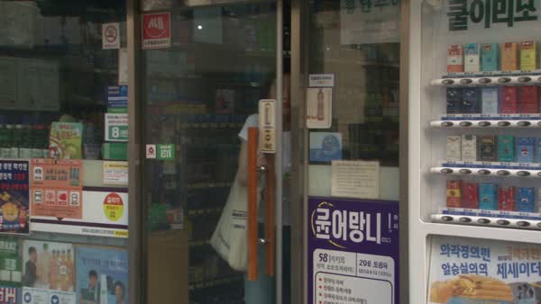 Seoul Day On Consumer Camcorder
