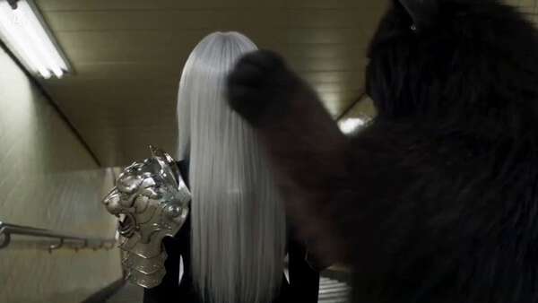 A Dragon Warrior Meets A Grumpy Cat